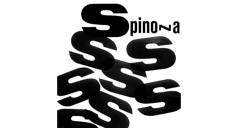 spinoza gif