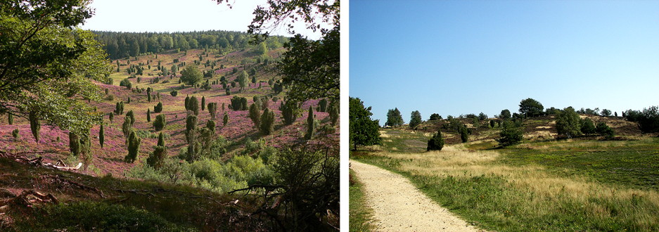 landes de lunebourg