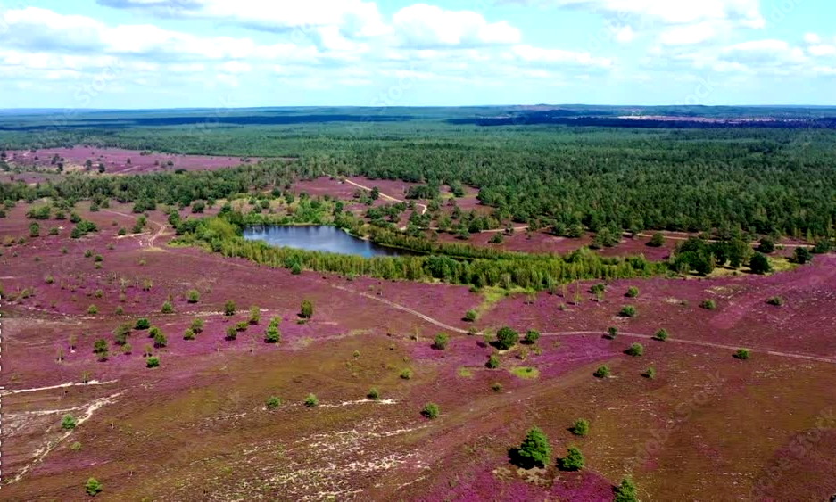 landes de lunebourg