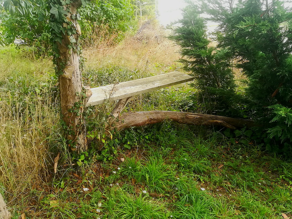 le pano du terrain