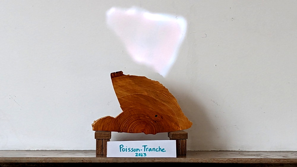 le poisson