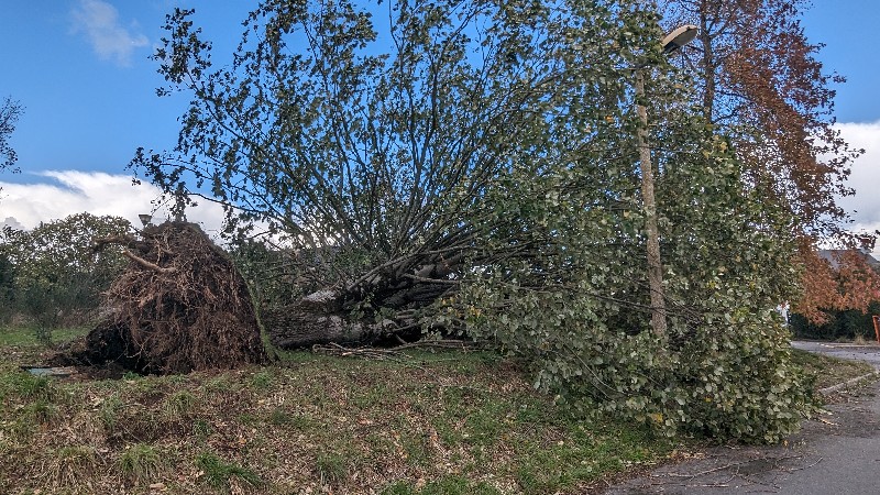 la tempête