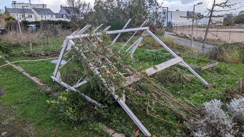 la tempête