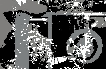 image from 2024-03-07 - dans les jardins