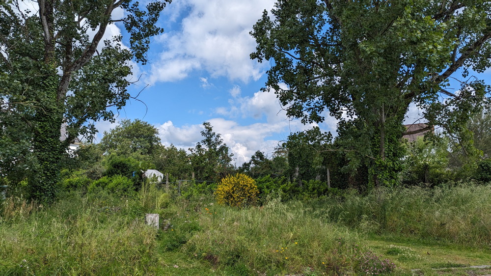 le bat.89 et les jardins des mesures