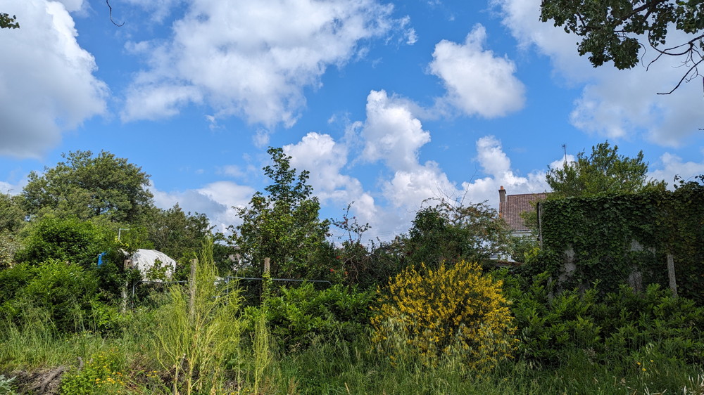 le bat.89 et les jardins des mesures