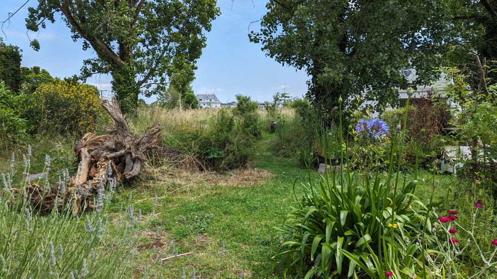 le bat.89 et les jardins des mesures