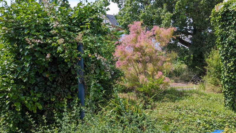 le bat.89 et les jardins des mesures